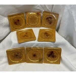 Vintage 1970s 8 Lucite Retro Coasters Plants Flowers Cork Twine 